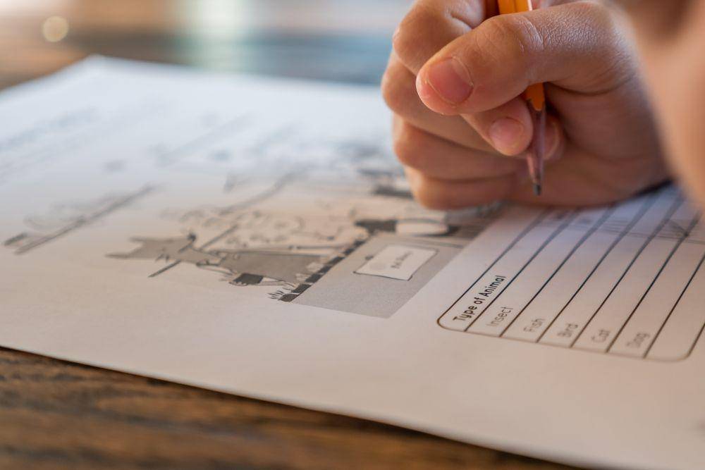 ilustrasi seorang anak yang mengerjakan tugas di atas kertas (unsplash.com/@thepaintedsquare)