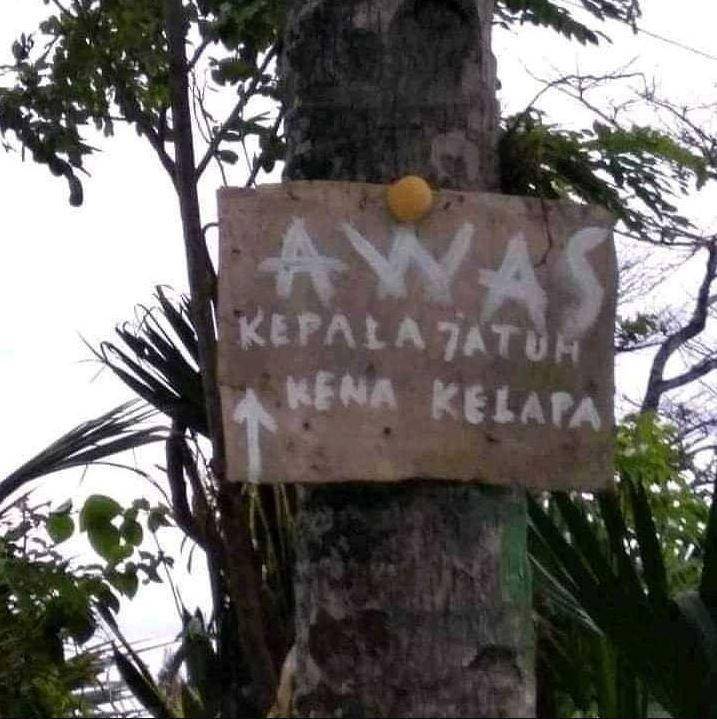 tulisan nyeleneh di pohon (instagram.com/humortawa.id)