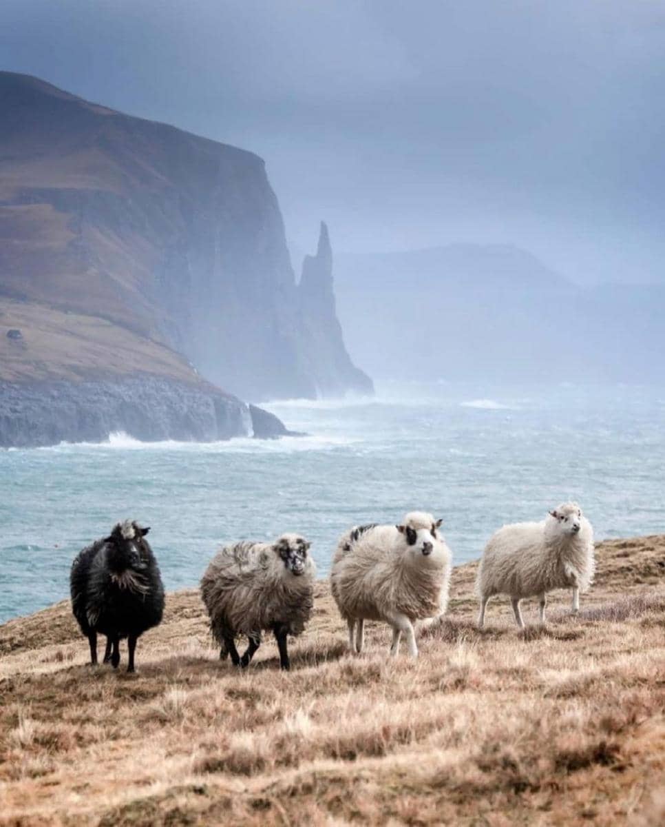 Kepulauan Faroe (instagram.com/faroeislandstourist)