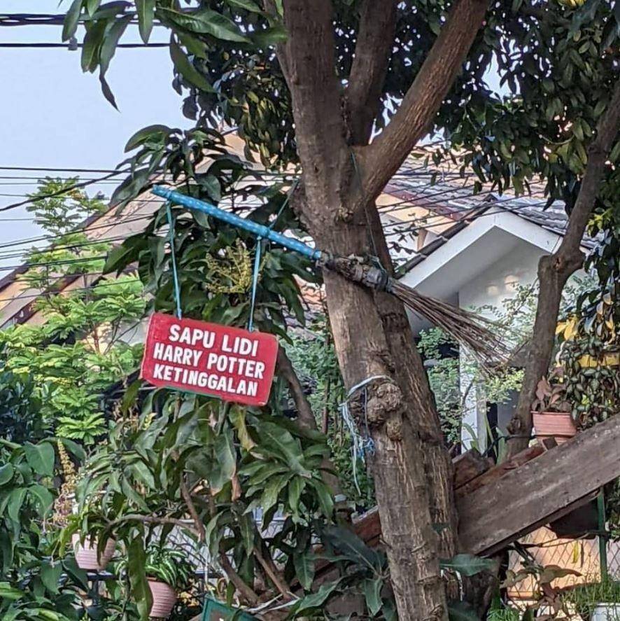 tulisan nyeleneh di pohon (instagram.com/awreceh.id)