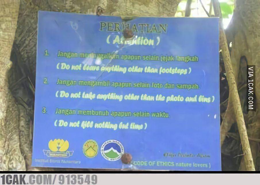 tulisan nyeleneh di pohon (1cak.com)