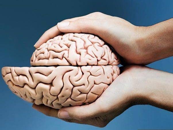 ilustrasi penyusutan otak (seniors.lovetoknow.com)