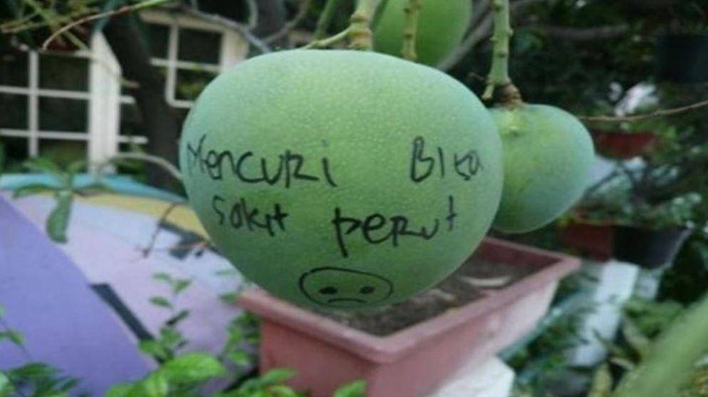 tulisan nyeleneh di pohon (instagram.com/zona_netijen)
