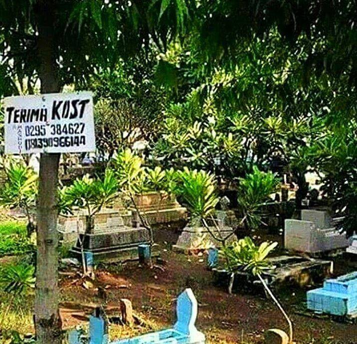 tulisan nyeleneh di pohon (instagram.com/sejay_mantap)