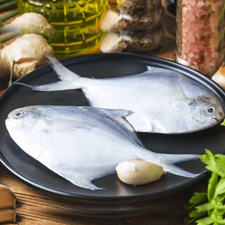 Ikan bawal (freshcatch.ae)
