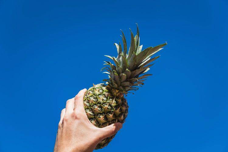ilustrasi buah nanas (unsplash.com/Martin Sanchez)