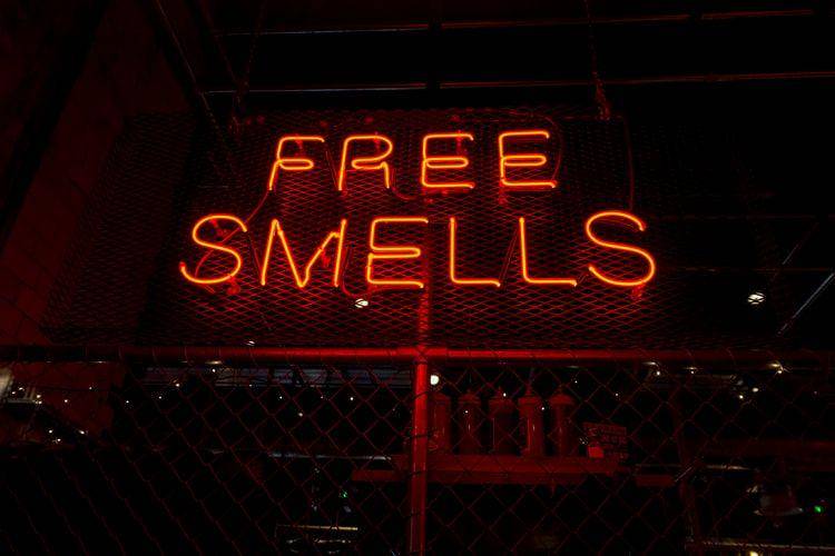 ilustrasi kata "Free Smells" (unsplash.com/Steve Harvey)