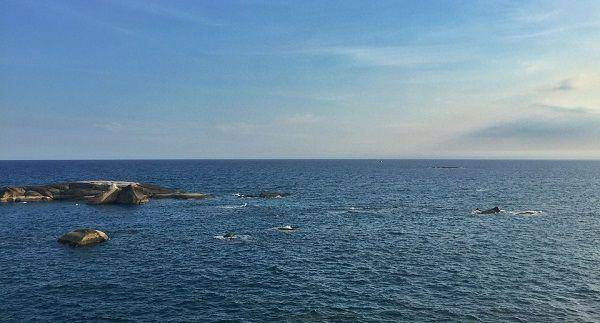 Suasana di sekitar wilayah Laut Cina Selatan. (Pixabay.com/user1488365914)