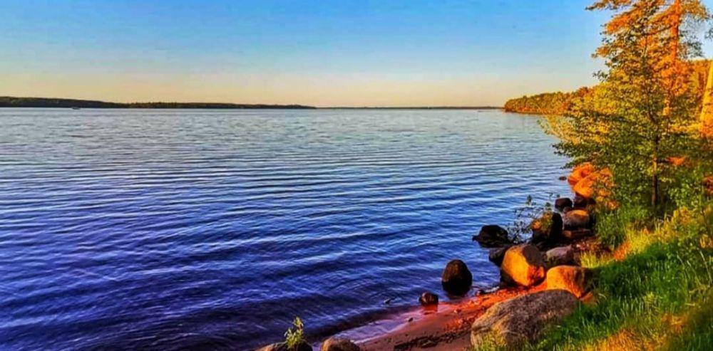 fakta Volga River (instagram.com/wombatrus_max)