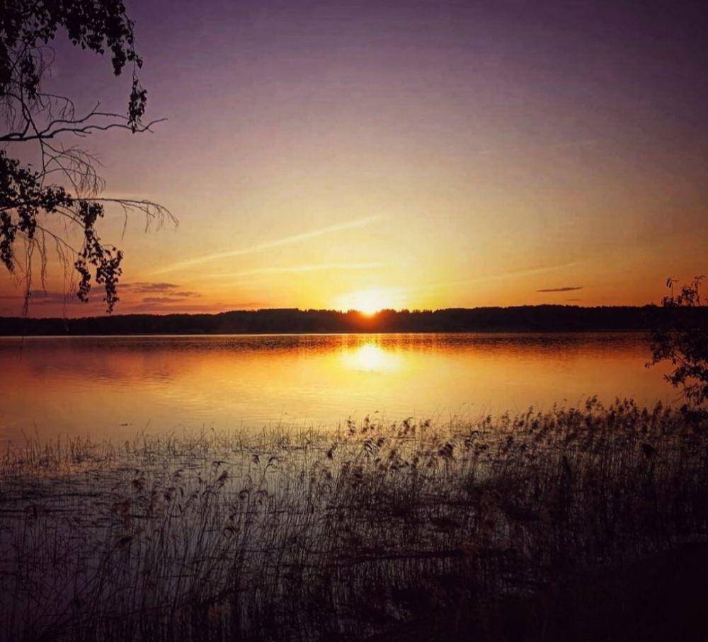 fakta Volga River (instagram.com/light.panic)