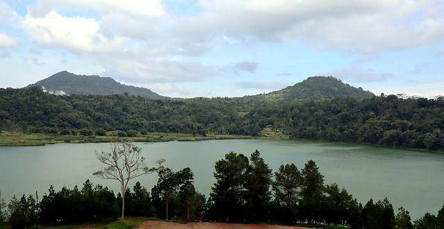 Pemandangan di sekitar hutan dekat Danau Linow, Sulawesi Tengah yang masuk ke dalam jajaran Hutan Wallacea. (pixabay.com/ignartonosbg)