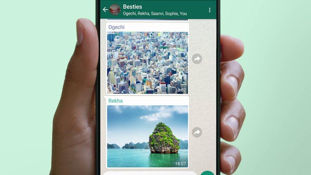 8 Tips Ampuh agar Grup WhatsApp Lebih Menyenangkan