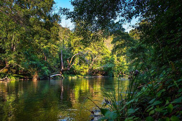 keindahan hutan hujan dengan keberadaan sungai di dalamnya (pixabay.com/Atlantios)