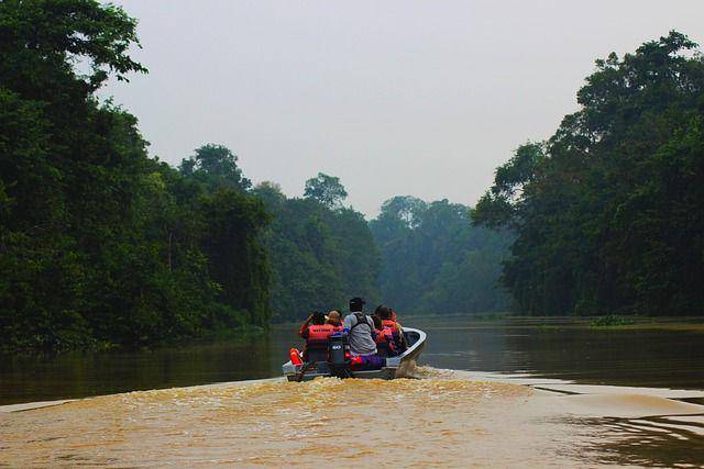 Sekelompok orang sedang menyusuri sungai di hutan hujan Kalimantan dengan perahu motor. (pixabay.com/barnabasvormwald)