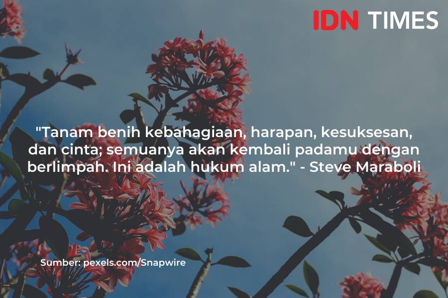 Caption Instagram bertema alam (IDN Times/M. Tarmizi Murdianto)