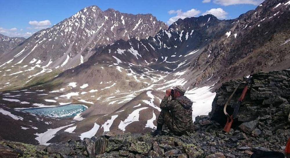 Pegunungan Emas Altai (instagram.com/altaiskiyzapovednik)