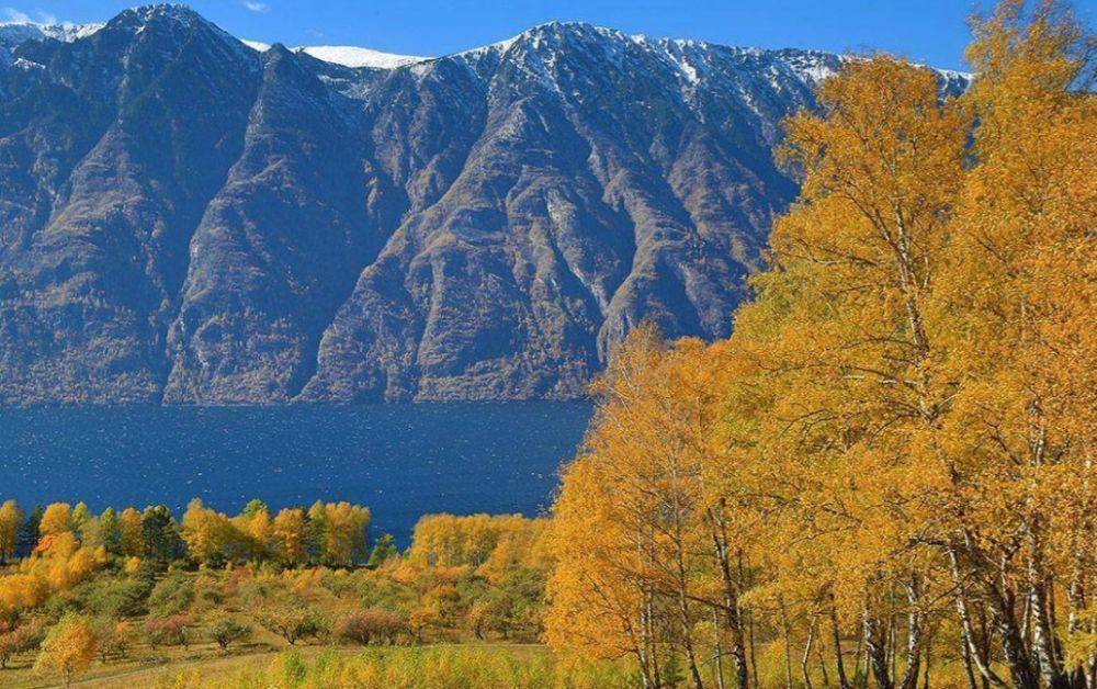 Pegunungan Emas Altai (instagram.com/altaiskiyzapovednik)