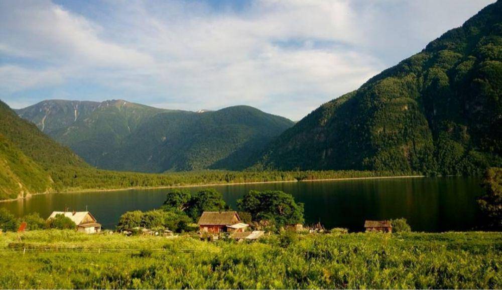Pegunungan Emas Altai (instagram.com/altaiskiyzapovednik)
