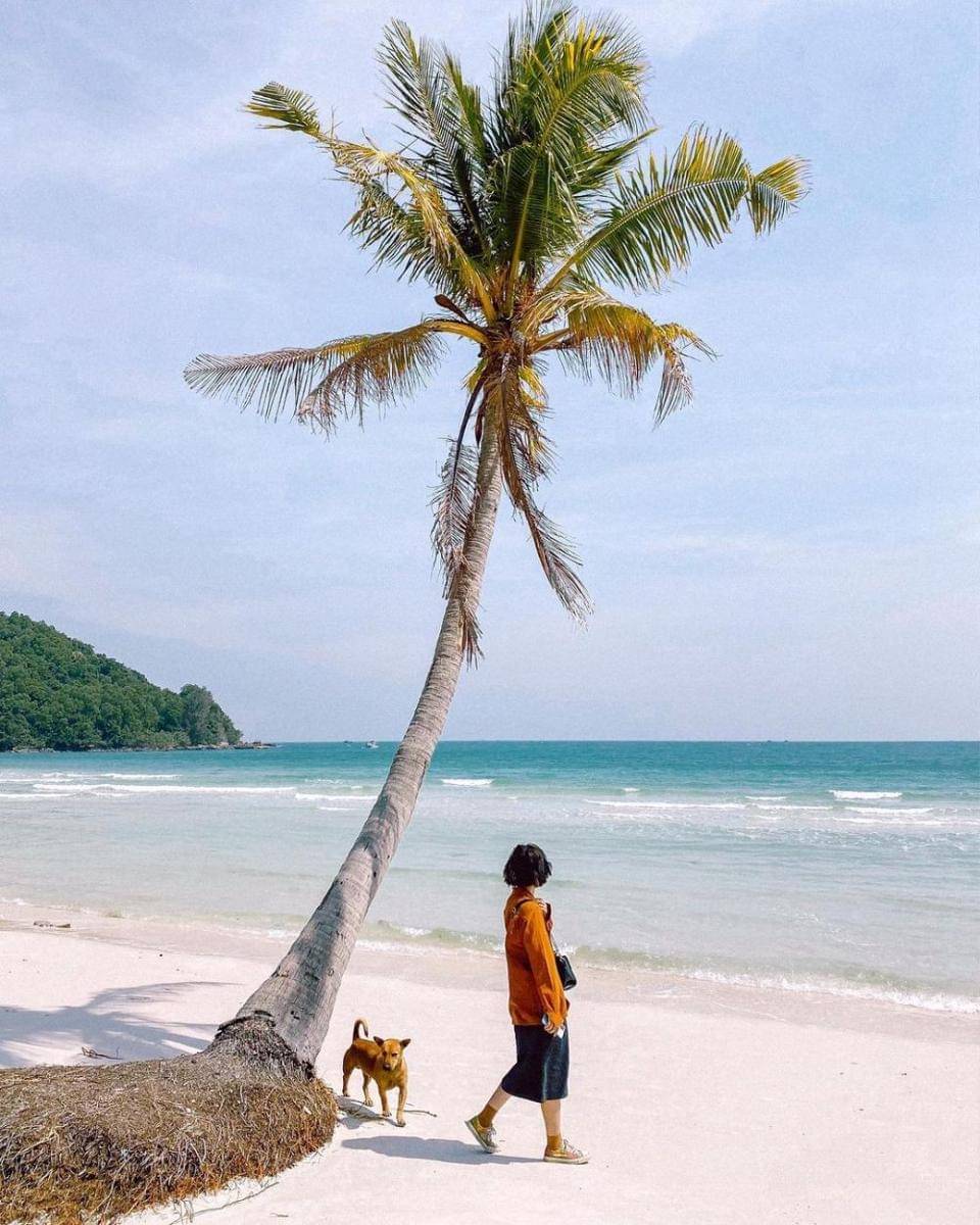 Bai Sao Beach (instagram.com/whereizhanhan)