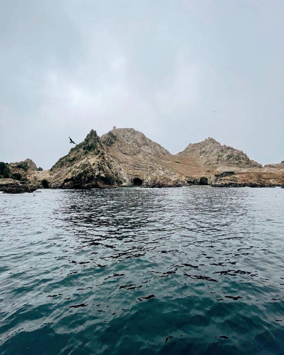 Farallon Islands (instagram.com/burtmamba)