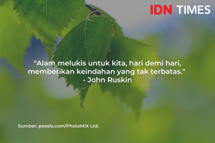Caption Instagram bertema alam (IDN Times/M. Tarmizi Murdianto)