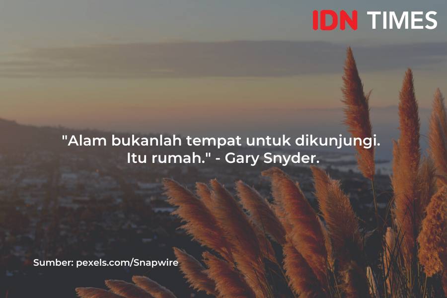 Caption Instagram bertema alam (IDN Times/M. Tarmizi Murdianto)