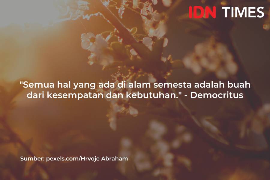 Caption Instagram bertema alam (IDN Times/M. Tarmizi Murdianto)