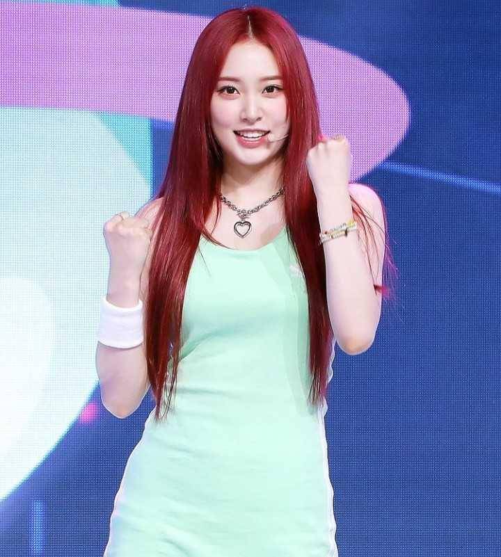 Zoa Weeekly (instagram.com/weeekly_zoa)