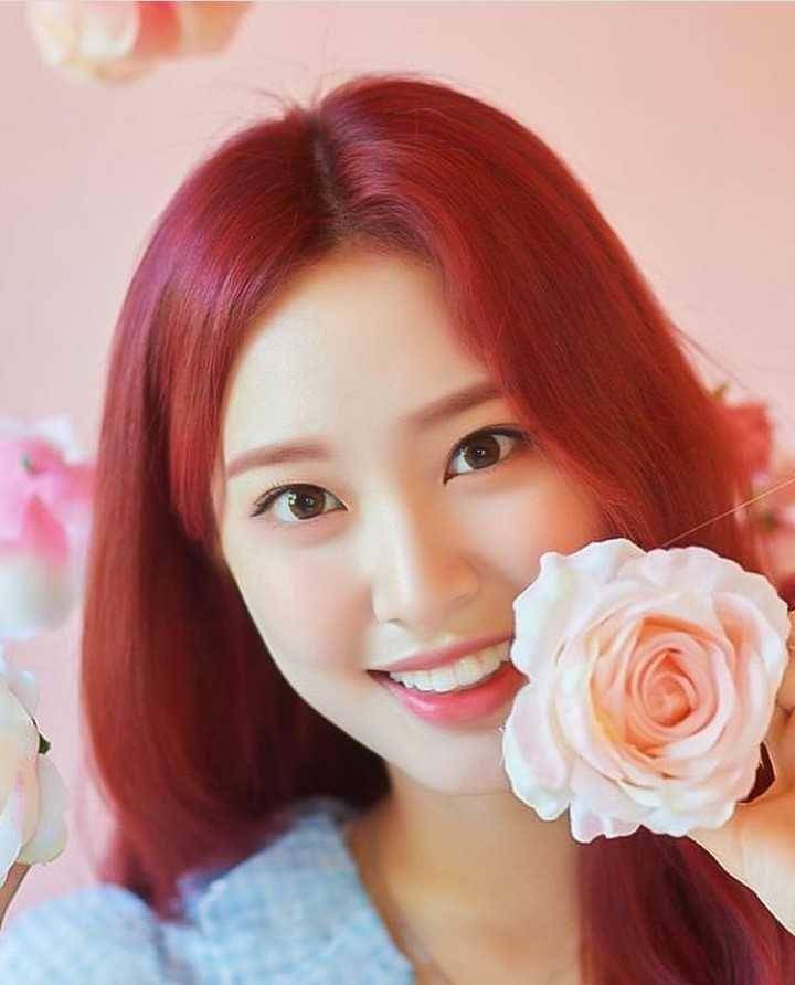 Zoa Weeekly (instagram.com/weeekly_zoa)