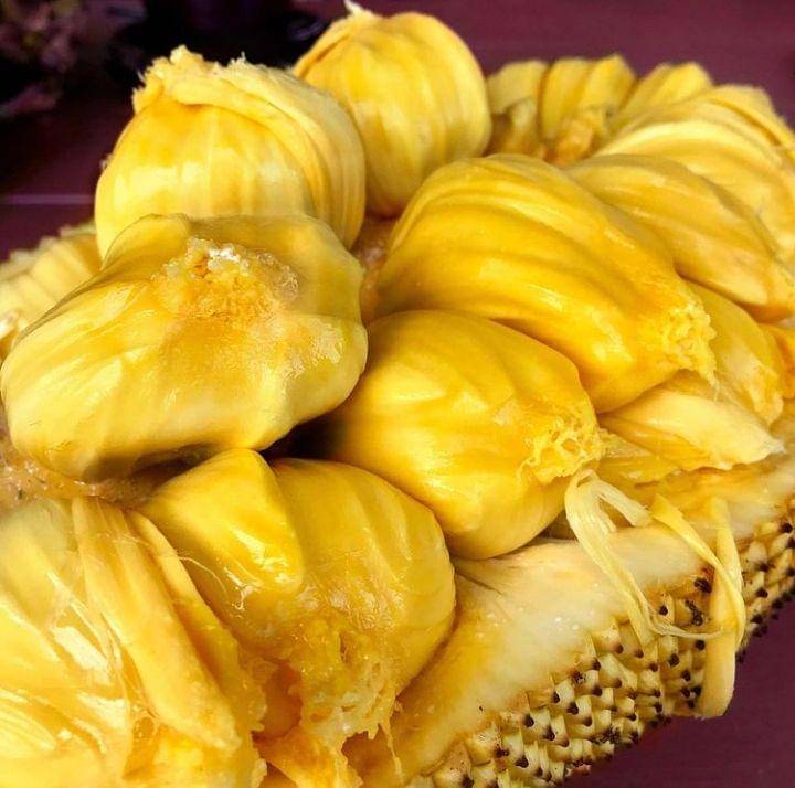 foto buah cempedak sebagai bahan utama pembuatan dodol cempedak (instagram.com/durianwriter)