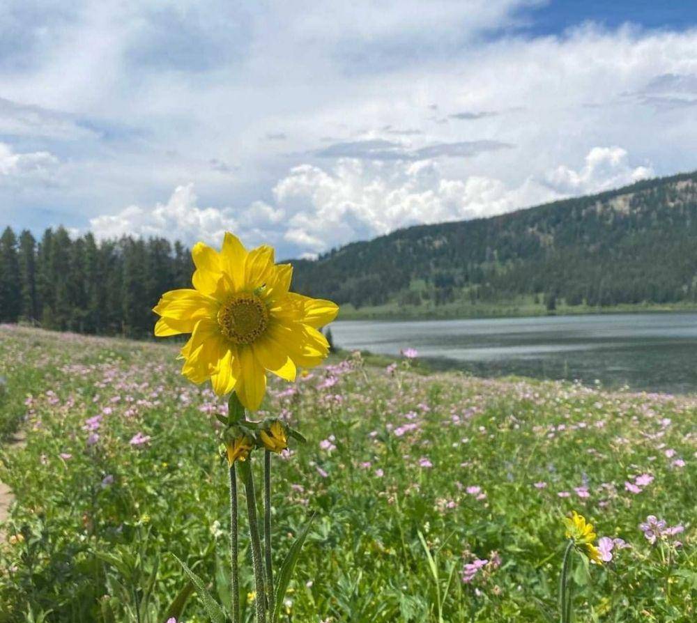 fakta Taman Nasional Grand Teton (instagram.com/grandtetonnps)