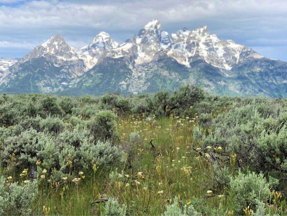 fakta Taman Nasional Grand Teton (instagram.com/grandtetonnps)