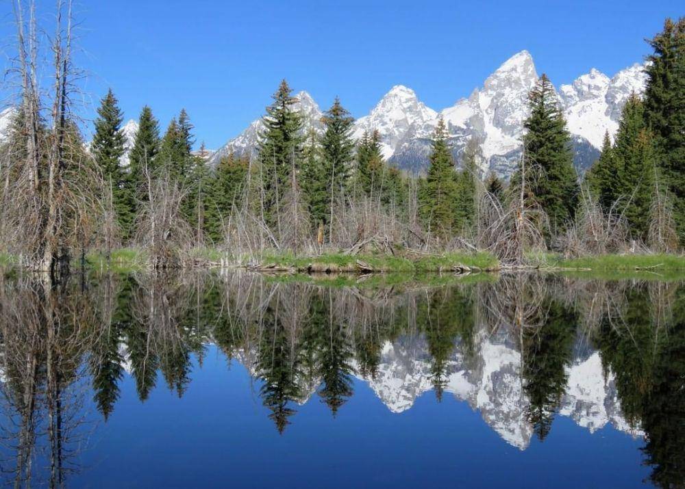 fakta Taman Nasional Grand Teton (instagram.com/grandtetonnps)