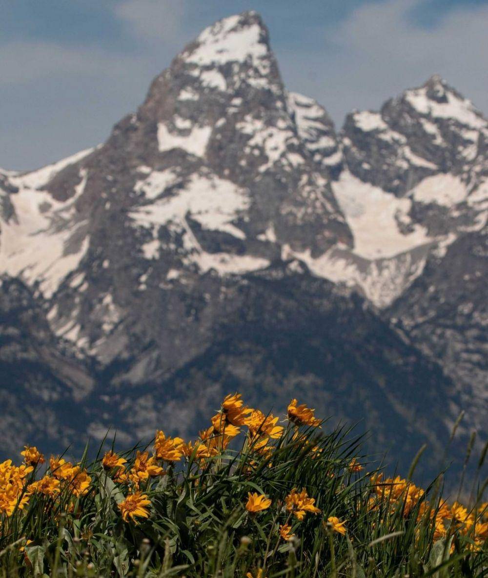 fakta Taman Nasional Grand Teton (instagram.com/grandtetonnps)