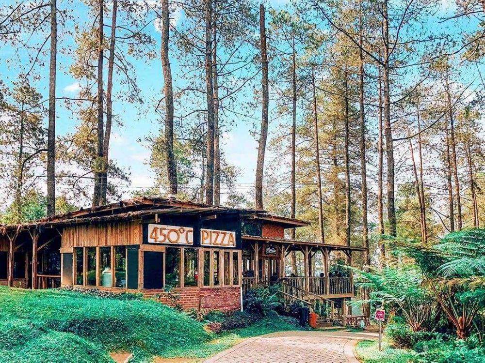ilustrasi kafe di dalam hutan (instagram.com/aspasia.coffee)