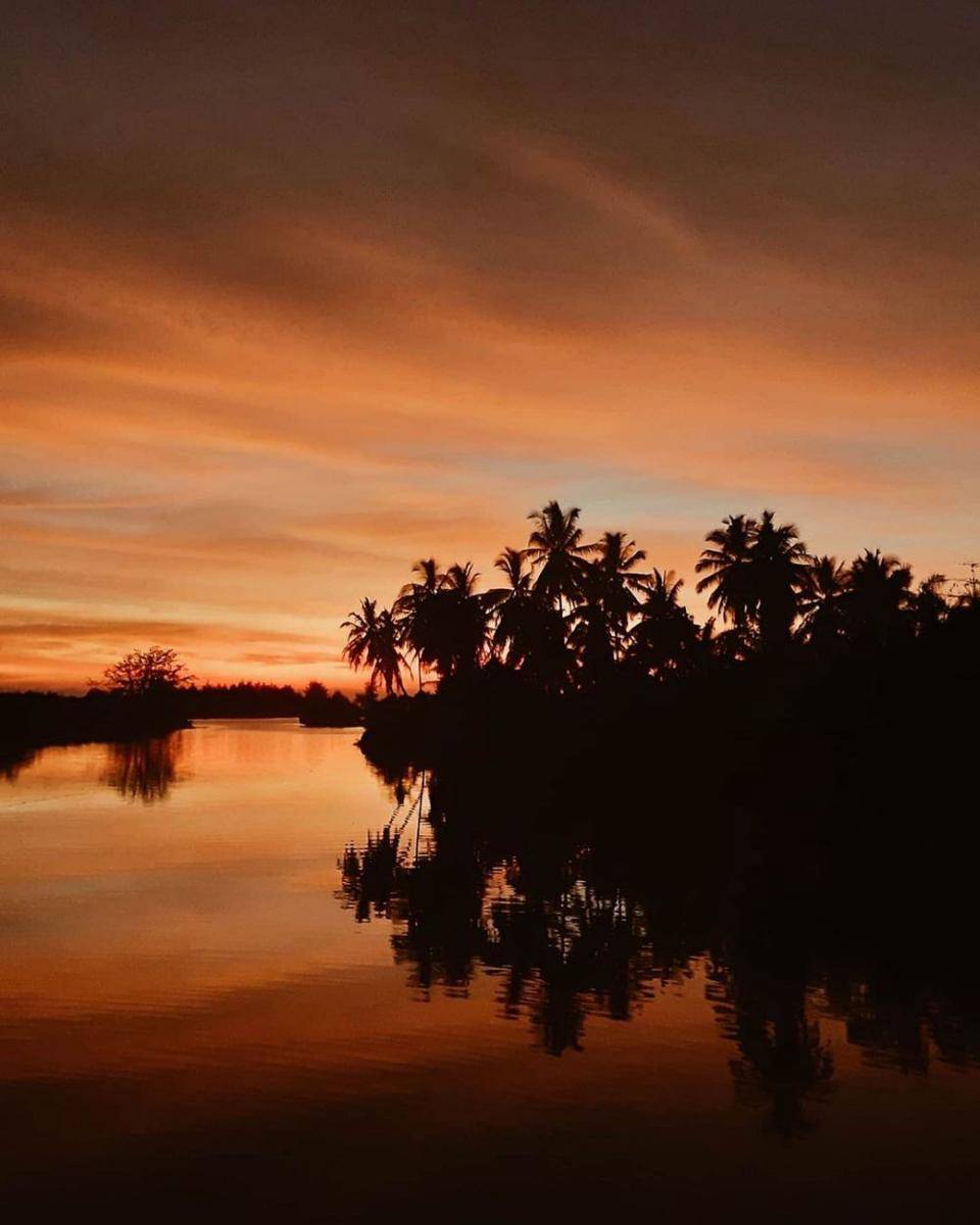 Rawa Tripa (instagram.com/mustawazir_)