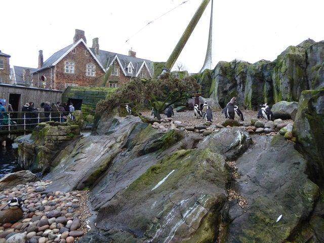 potret Bristol Zoo (oldest.org)