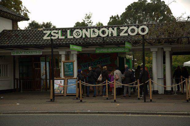 potret ZSL London Zoo di Inggris (list.co.uk)