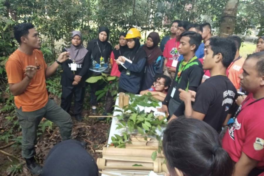 ilustrasi pembelajaran jurusan Kehutanan (fhut.usu.ac.id)