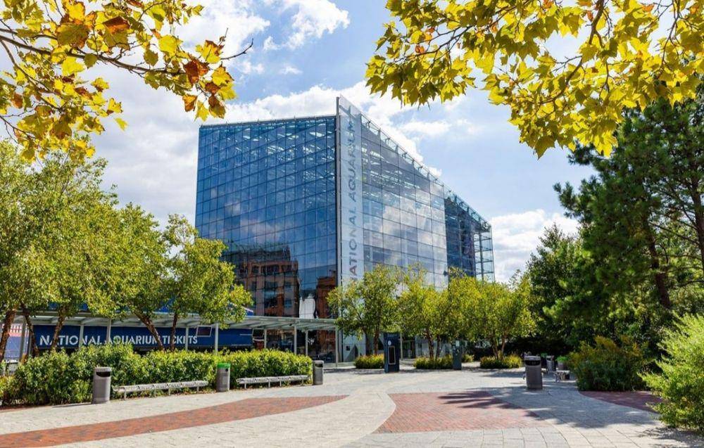 National Aquarium (instagram.com/nationalaquarium)