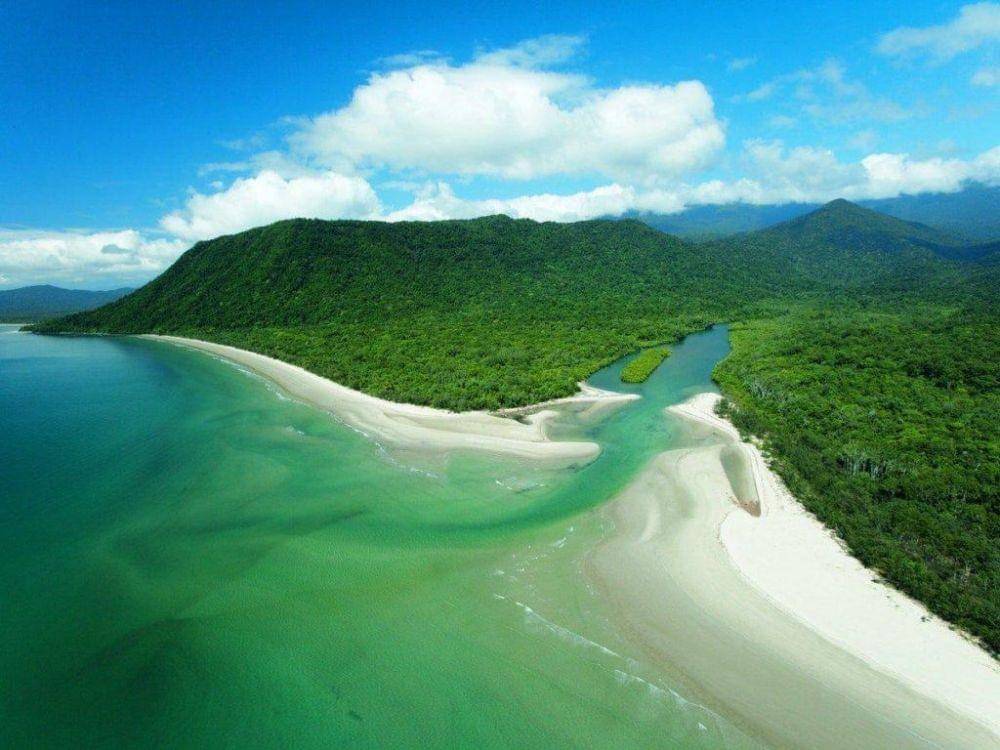 Daintree Forest, Australia (daintree-ecolodge.com.au)