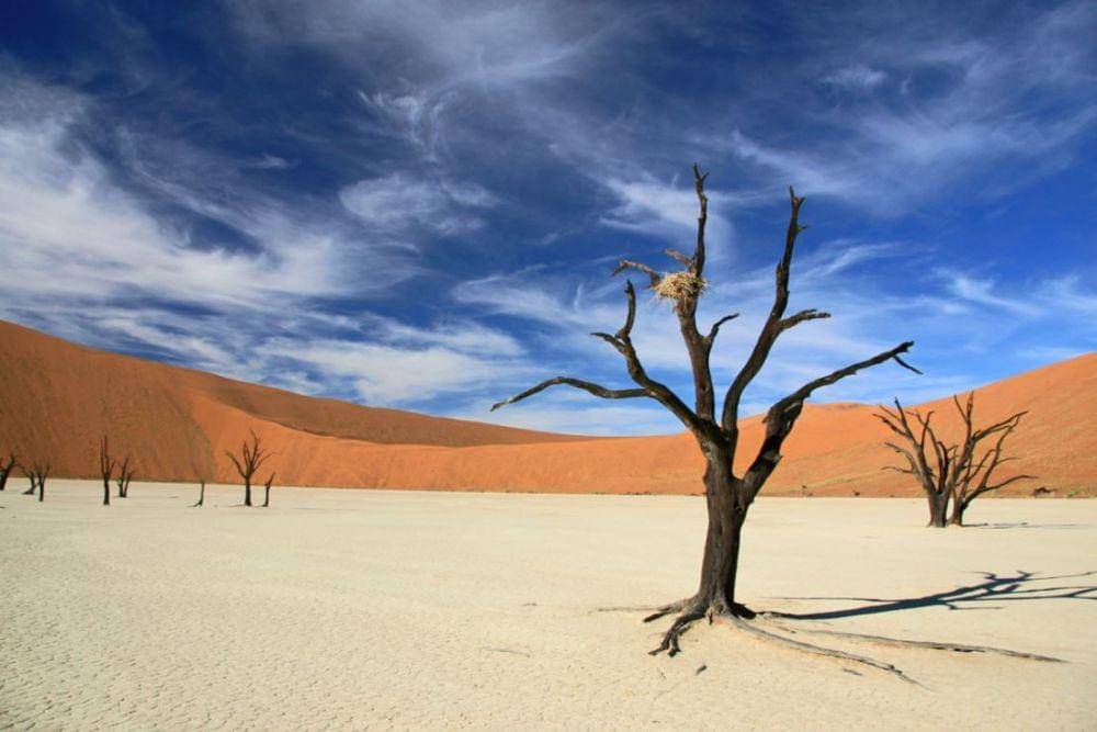 Deadvlei Forest, Namibia (earthlymission.com)