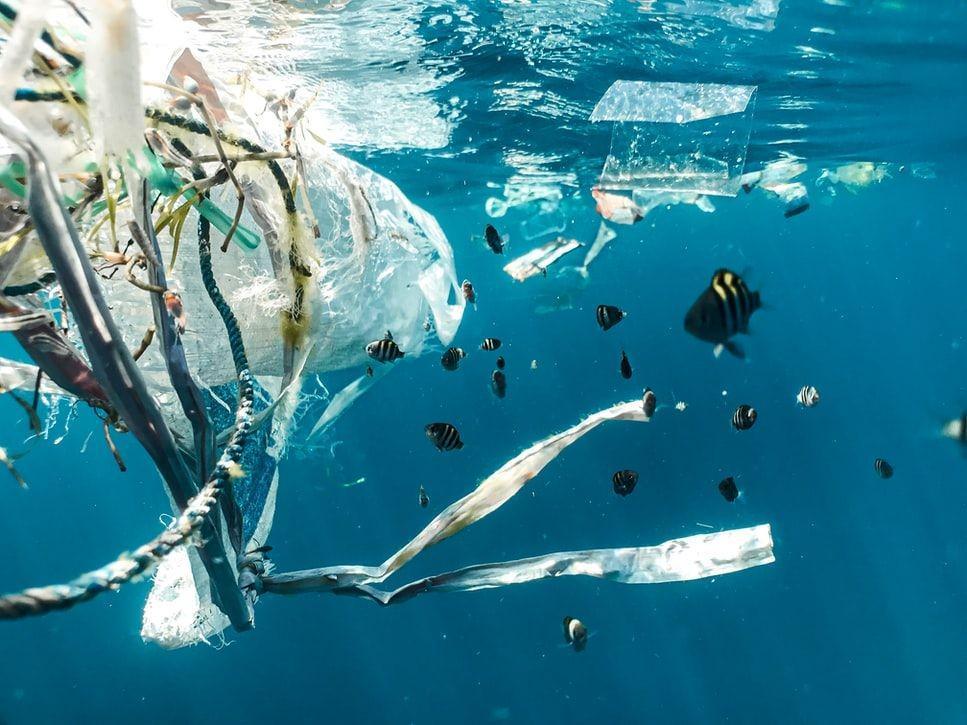 Lebih Banyak Plastik daripada Ikan, 5 Fakta soal Laut