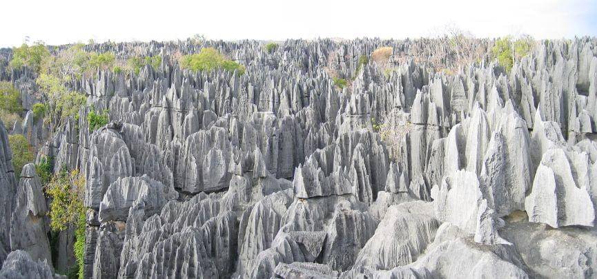 Tsingy Forest, Madagaskar (smartertravel.com)