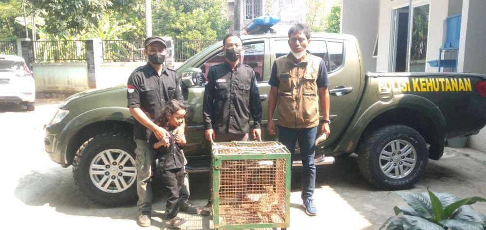 CAKRA saat menyerahkan kucing hutan ke BKSDA Kediri. IDN Times/ istimewa