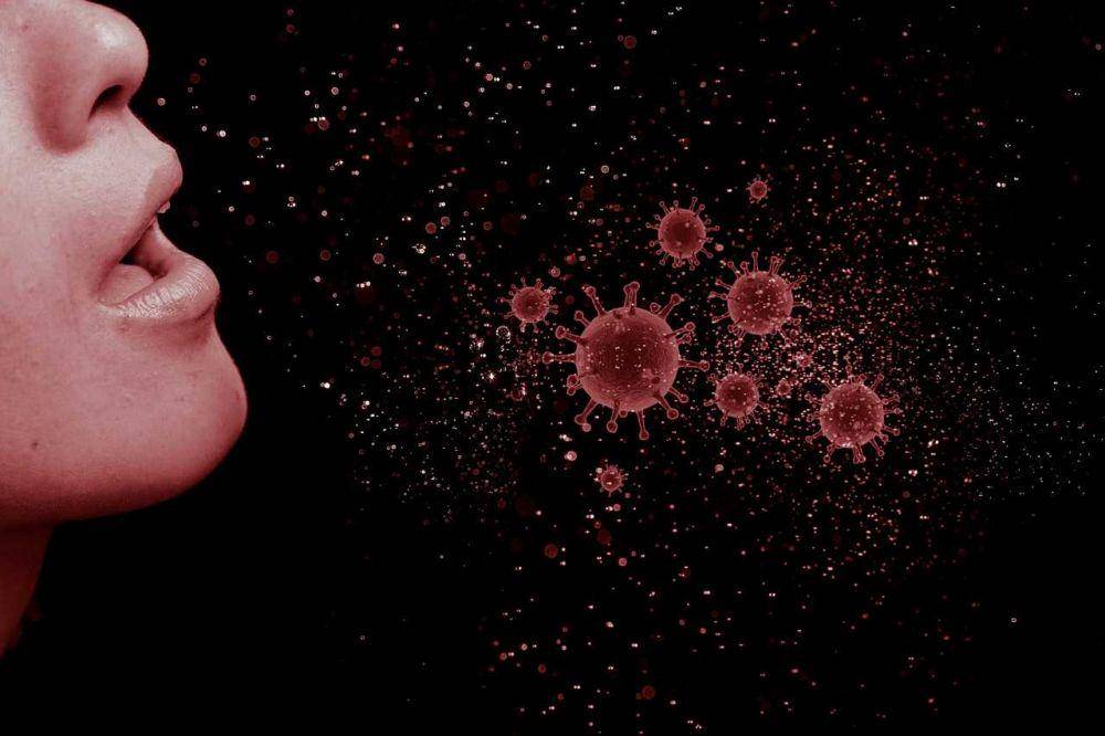 ilustrasi virus (pixabay.com/mohamed hassan)