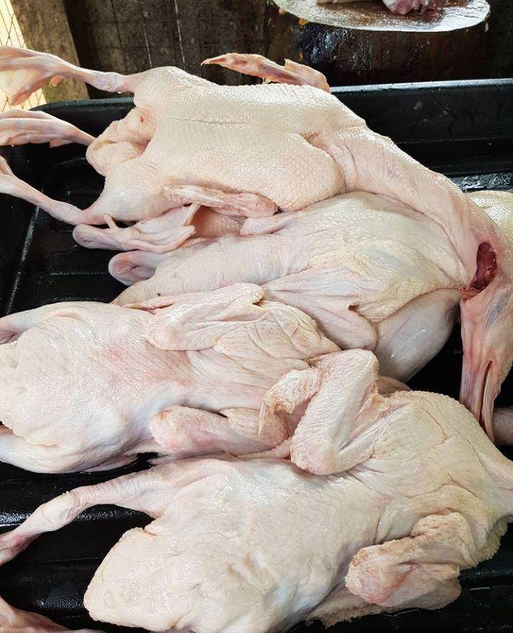 Foto daging itik sebagai bahan utama nasi itik gambut (Instagram.com/esmartdotcom)