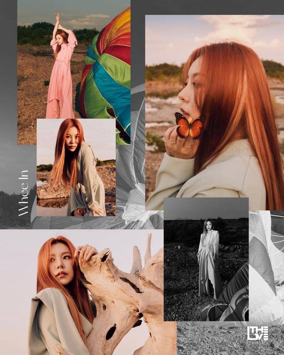 Wheein MAMAMOO (instagram.com/whee_inthemood)