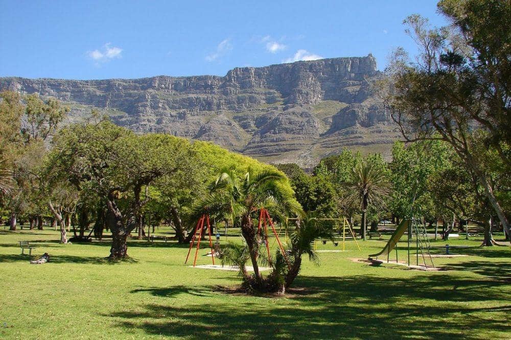 Cape Town, Africa (theculturetrip.com)