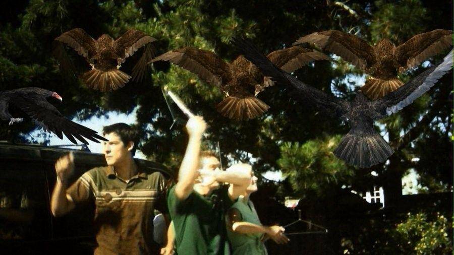 Potret salah satu adegan di film Birdemic (dazeddigital/birdemic)
